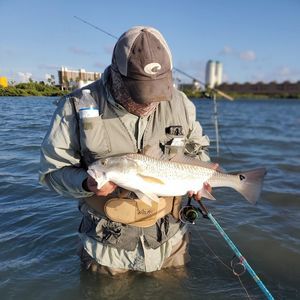 Meet your Posher, Bart